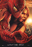 Spider-Man 2 27 x 40 Movie Poster - Style H