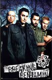 Breaking Benjamin Music Poster - 22 x 34 - Style A