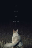 It Comes at Night 11 x 17 Movie Poster - Style B