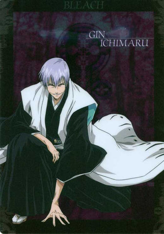 Bleach (TV) 11 x 17 TV Poster - Japanese Style Z