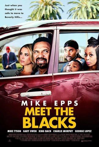 Meet the Blacks 27 x 40 Movie Poster - Style A
