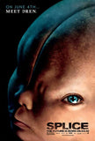 Splice 11 x 17 Movie Poster - Style A