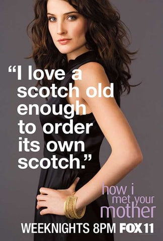 How I Met Your Mother 11 x 17 TV Poster - Style C