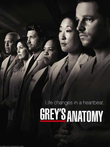 Grey's Anatomy 27 x 40 TV Poster - Style D