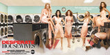 Desperate Housewives 20 x 40 TV Poster - Style A
