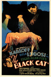 The Black Cat 11 x 17 Movie Poster - Style A
