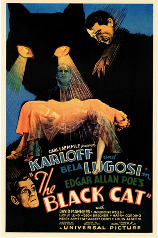 The Black Cat 11 x 17 Movie Poster - Style A