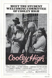 Cooley High 11 x 17 Movie Poster - Style A