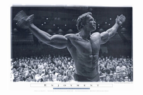 Pumping Iron 24 x 36 Movie Poster - Style B