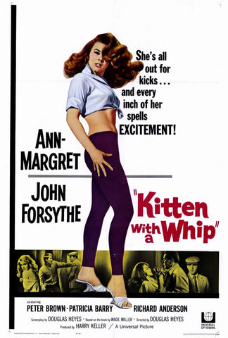 Kitten With a Whip 27 x 40 Movie Poster - Style A