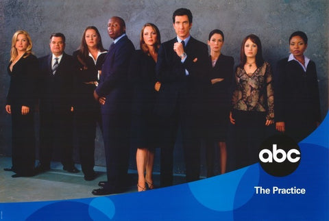 The Practice 11 x 17 TV Poster - Style B