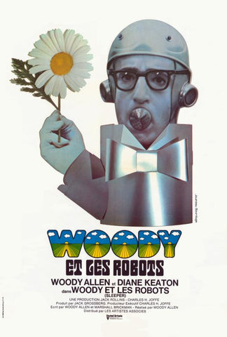 Sleeper 27 x 40 Movie Poster - French Style A