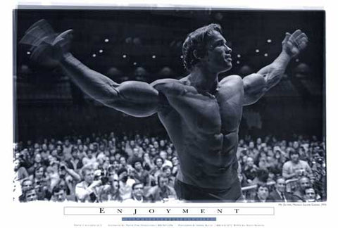 Arnold Schwarzenegger 27 x 40 Movie Poster - Style E