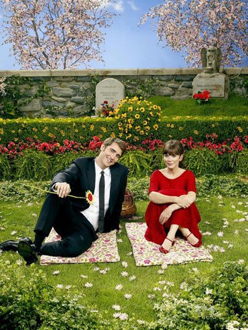 Pushing Daisies (TV) 11 x 17 TV Poster - Style E