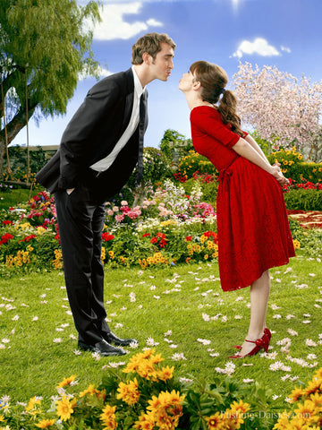 Pushing Daisies (TV) 27 x 40 TV Poster - Style E