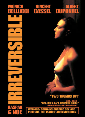 Irreversible 27 x 40 Movie Poster - Style A