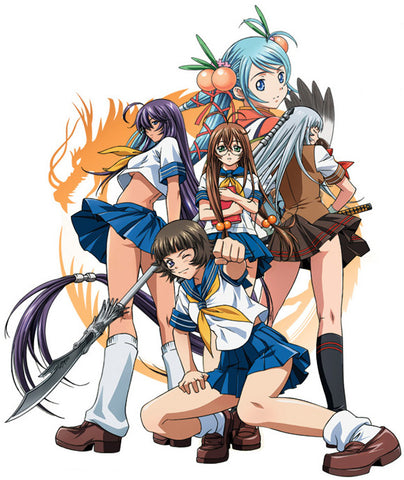 Ikki tôsen: Dragon destiny 11 x 14 TV Poster - Japanese Style A