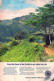Lost (TV) 11 x 17 TV Poster - Style T