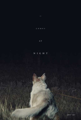 It Comes at Night 27 x 40 Movie Poster - Style B