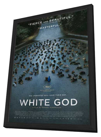 White God 11 x 17 Movie Poster - Style A - in Deluxe Aluminum Frame