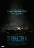 It Follows 27 x 40 Movie Poster - Canadian Style A