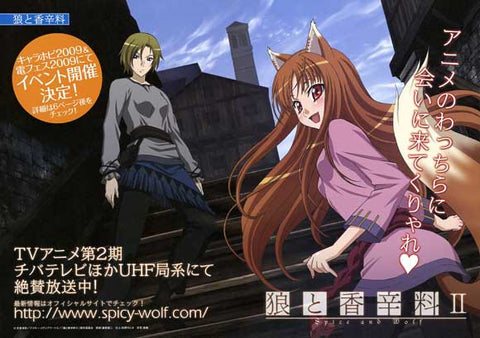 Spice and Wolf (TV) 27 x 40 Movie Poster - Japanese Style A