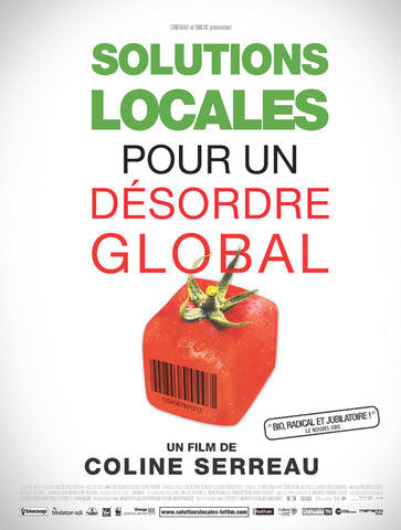 Solutions locales pour un desordre global 27 x 40 Movie Poster - French Style A