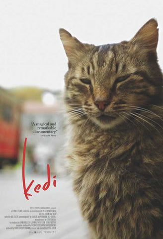 Kedi 11 x 17 Movie Poster - Style A