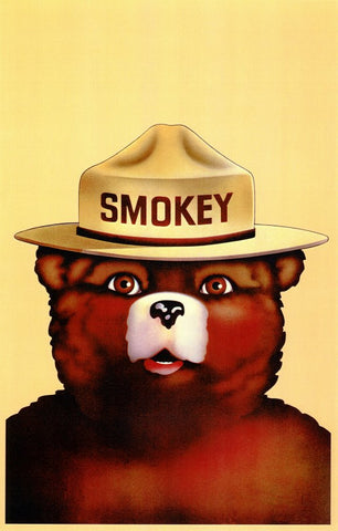 Smokey the Bear 11 x 17 Movie Poster - Style A