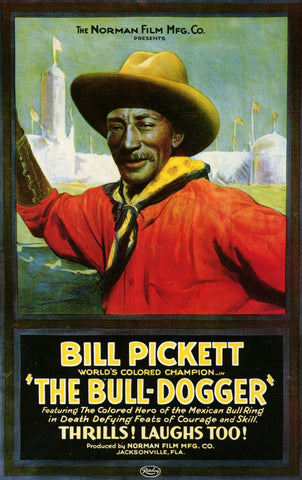 The Bull Dogger 11 x 17 Movie Poster - Style A