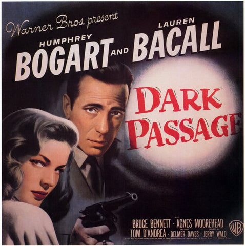 Dark Passage 11 x 17 Movie Poster - Style D