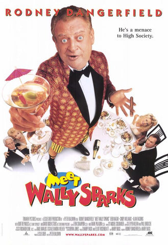 Meet Wally Sparks 11 x 17 Movie Poster - Style A