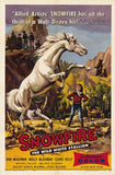Snowfire 11 x 17 Movie Poster - Style A