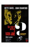 Whatever Happened to Baby Jane? 11 x 17 Movie Poster - French Style A