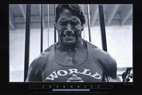 Pumping Iron 24 x 36 Movie Poster - Style C
