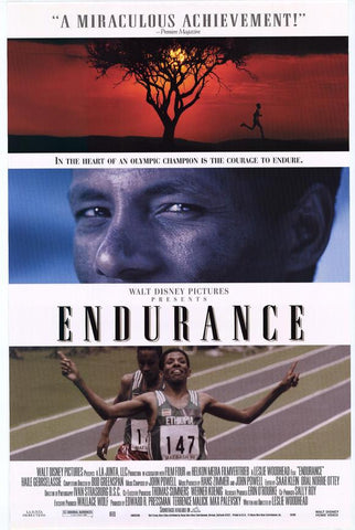 Endurance 27 x 40 Movie Poster - Style A