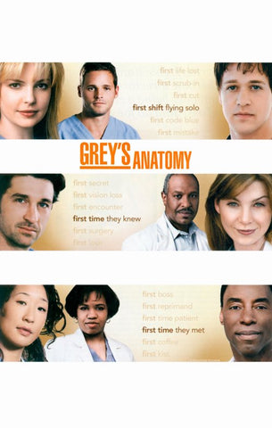 Grey's Anatomy 11 x 17 TV Poster - Style D
