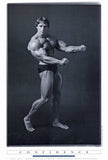 Arnold Schwarzenegger 27 x 40 Movie Poster - Style A