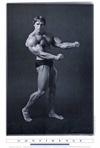 Arnold Schwarzenegger 27 x 40 Movie Poster - Style A