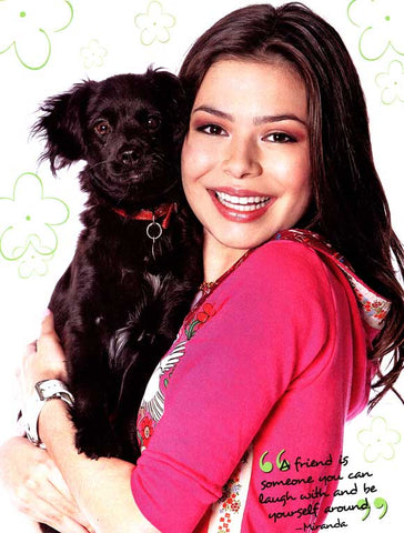 iCarly (TV) 27 x 40 TV Poster - Style C
