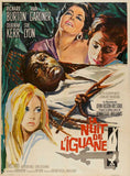 The Night of the Iguana 27 x 40 Movie Poster - French Style B