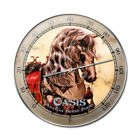 Oasis Horse Metal Sign Wall Decor 14 x 14