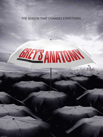 Grey's Anatomy 27 x 40 TV Poster - Style F