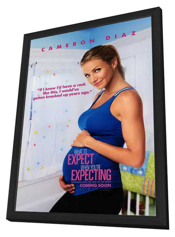 What to Expect When You're Expecting 11 x 17 Movie Poster - Style A - in Deluxe Aluminum Frame