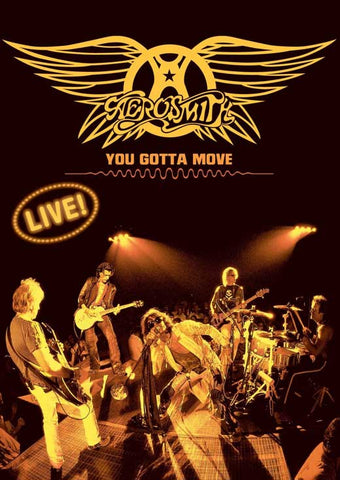 Aerosmith: You Gotta Move 11 x 17 Movie Poster - Style A