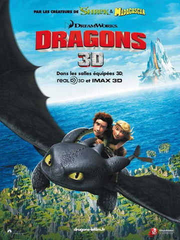 How to Train Your Dragon 27 x 40 Movie Poster - French Style B