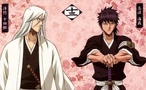 Bleach (TV) 11 x 17 TV Poster - Japanese Style W
