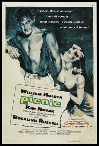 Picnic 11 x 17 Movie Poster - Style A