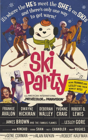 Ski Party 11 x 17 Movie Poster - Style A