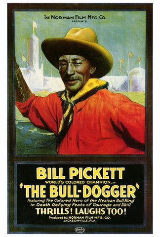 The Bull Dogger 27 x 40 Movie Poster - Style A